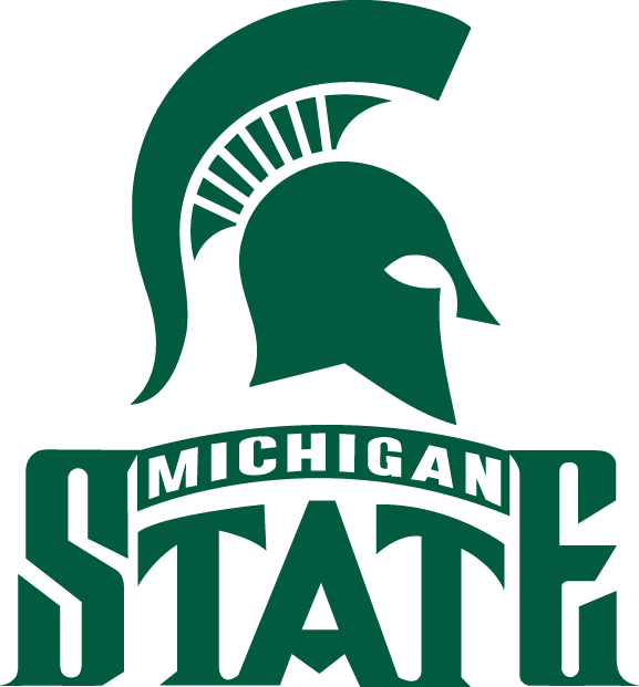 Michigan State Spartans 1987-Pres Alternate Logo iron on transfers for T-shirts